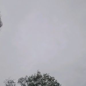 Meet your Posher, Owen